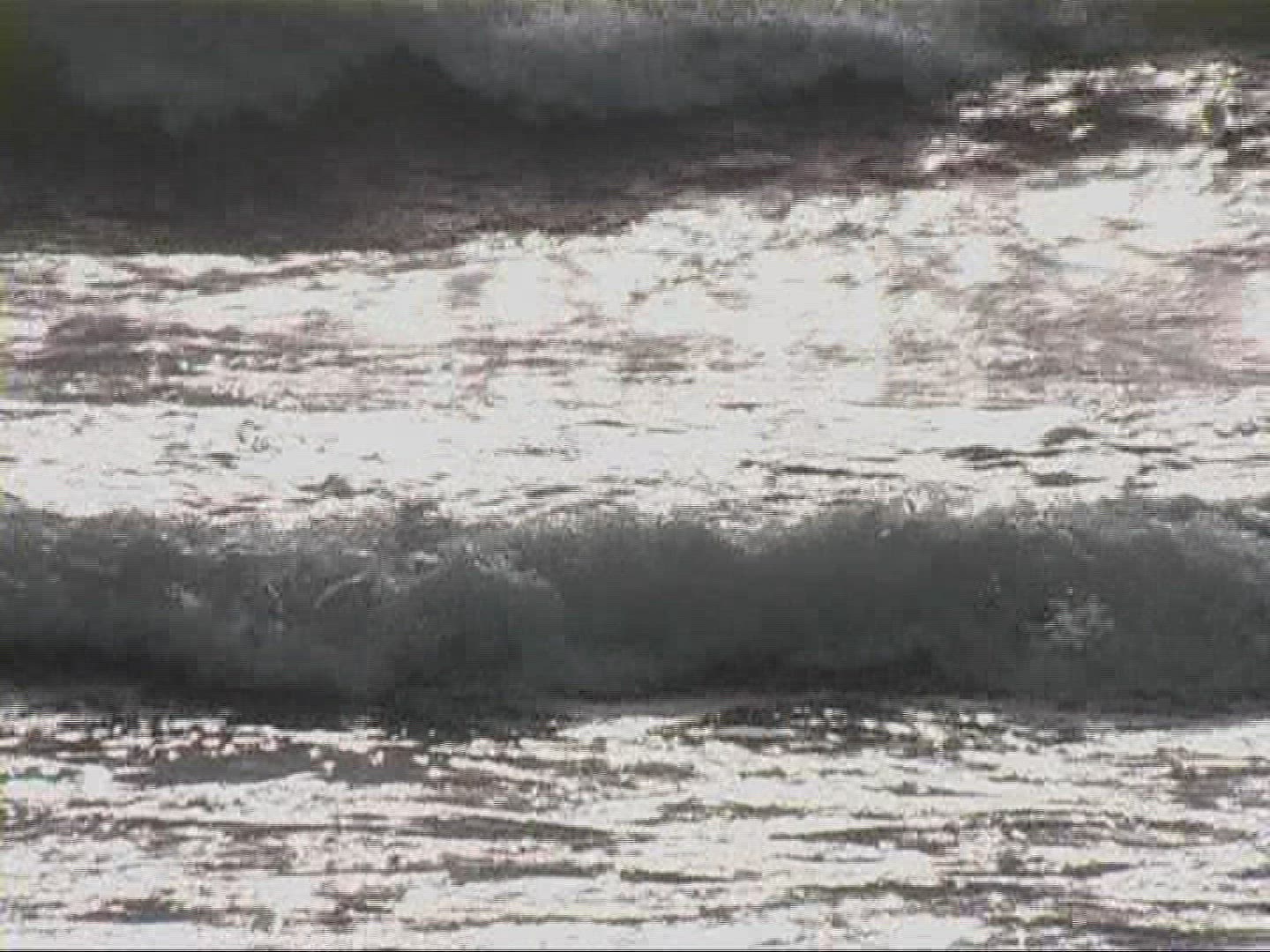 555242557 / Surf / Ligurian Sea / Tuscany / Italy
