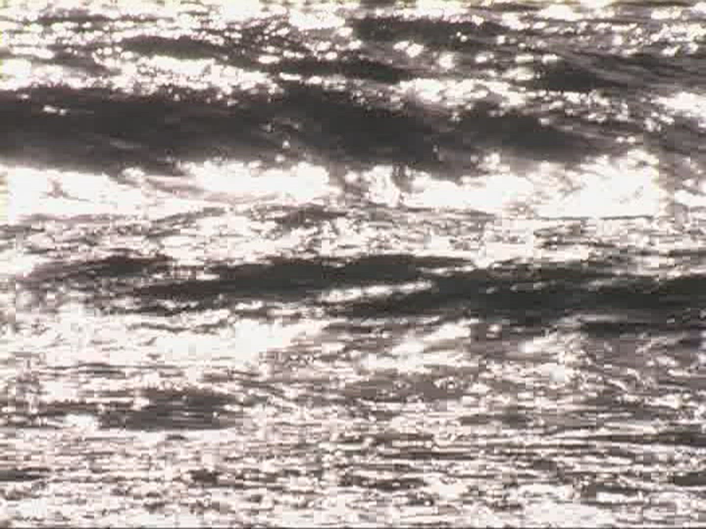 858481017 / Surf / Ligurian Sea / Tuscany / Italy