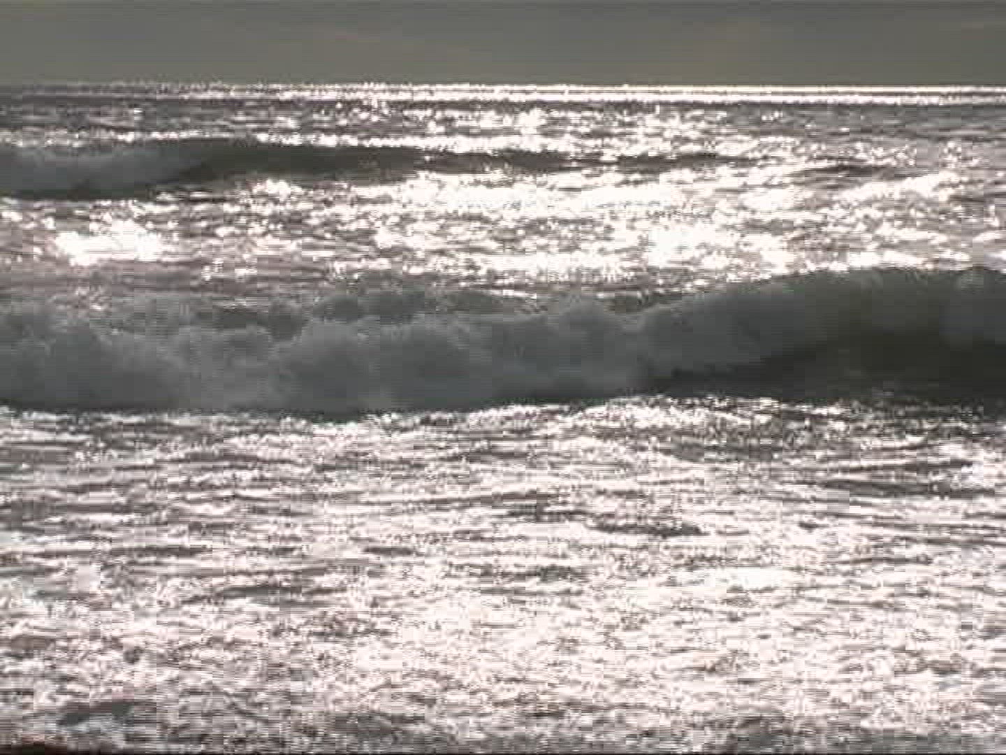 910165531 / Surf / Ligurian Sea / Tuscany / Italy