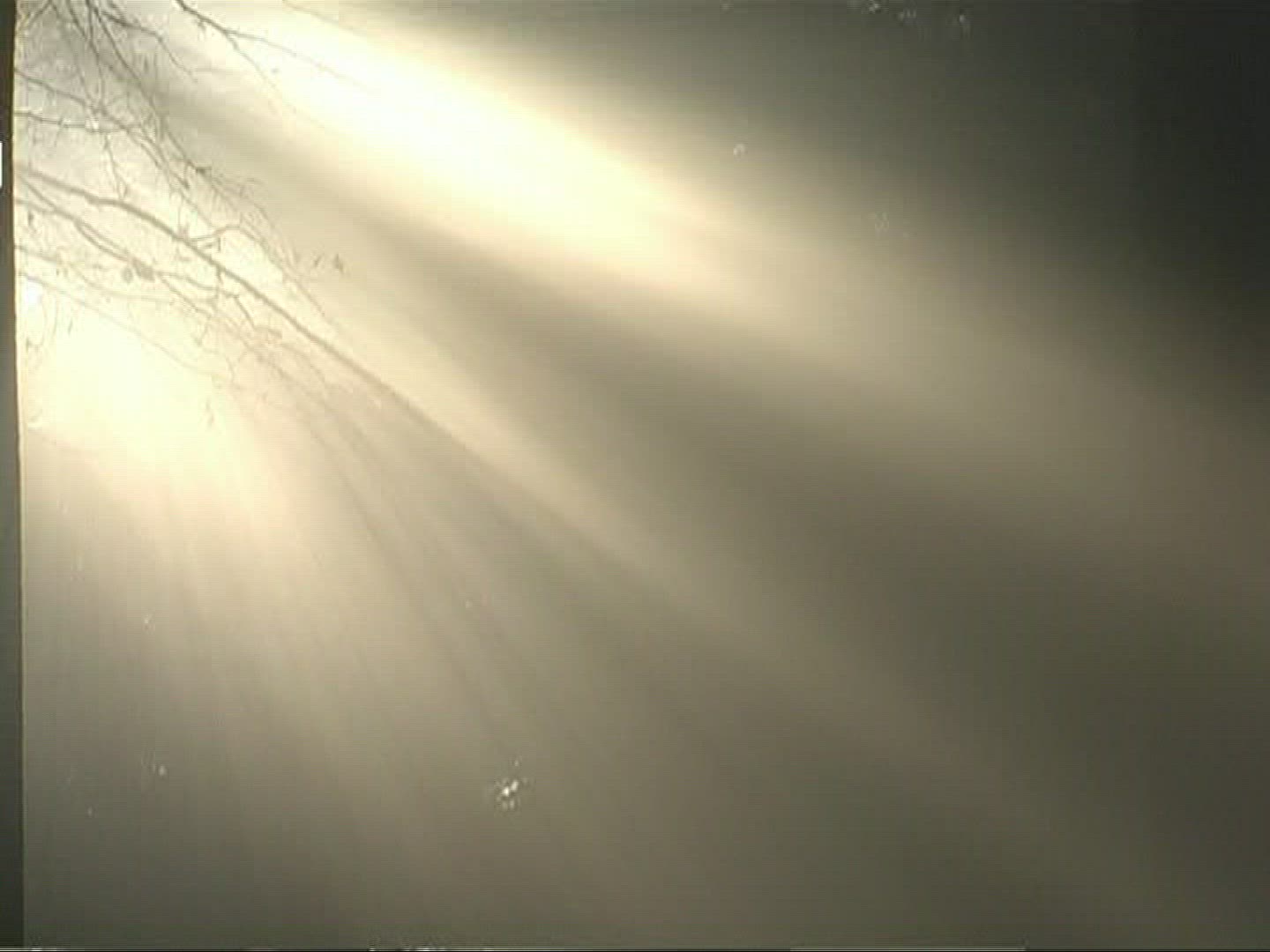 425928223 / Mixed Forest / Sunray / Germany