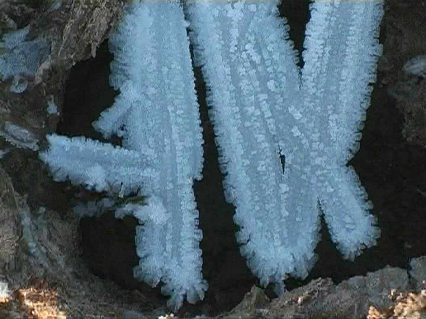 606462480 / Ice Crystal / Germany