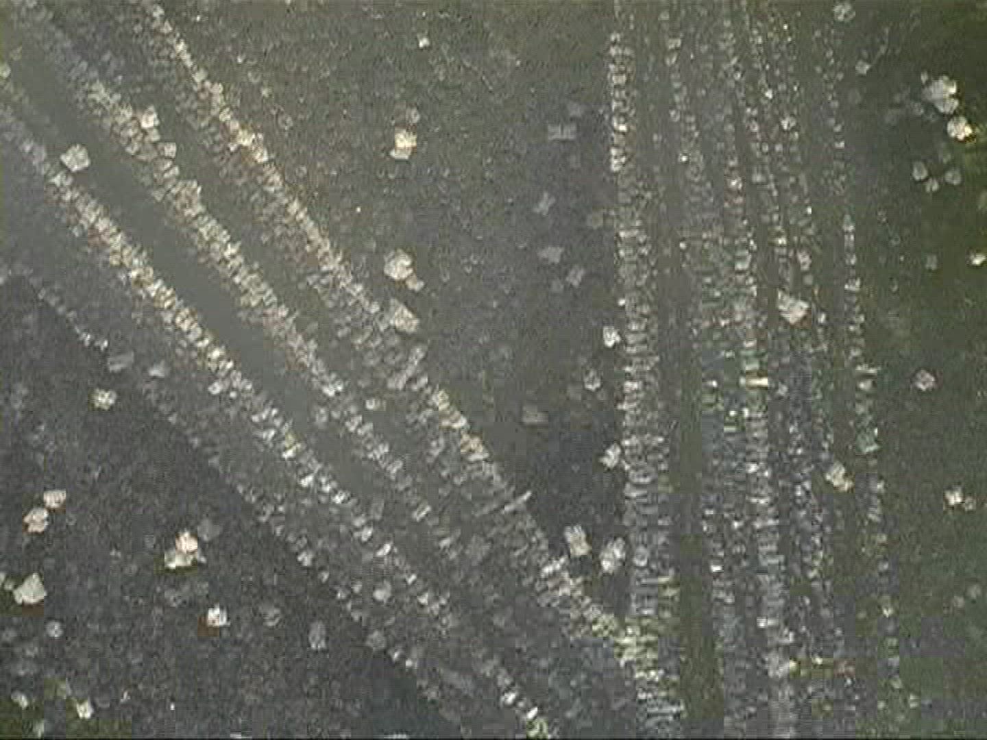 119090316 / Ice Crystal / Germany
