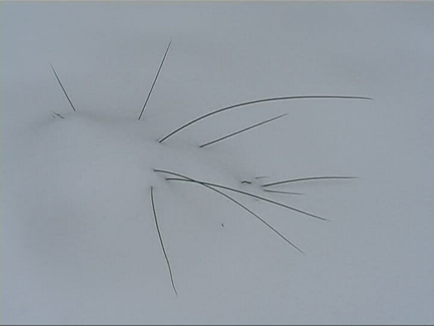 964582506 / Soft Rush / Snow / Germany