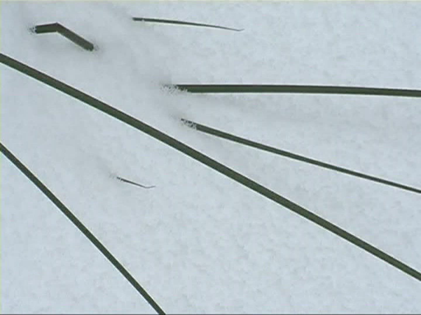 375670459 / Soft Rush / Snow / Germany