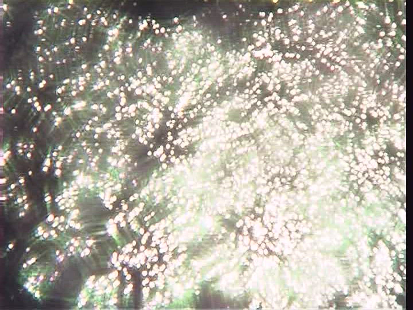 213379884 / River / Twinkling / Spessart / Germany