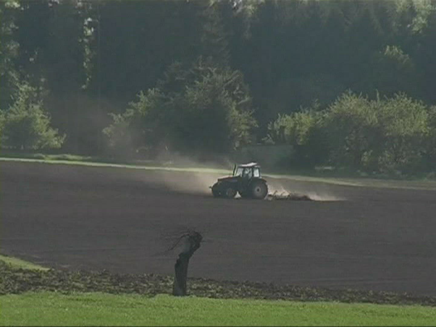 813174752 / Field / Agriculture
