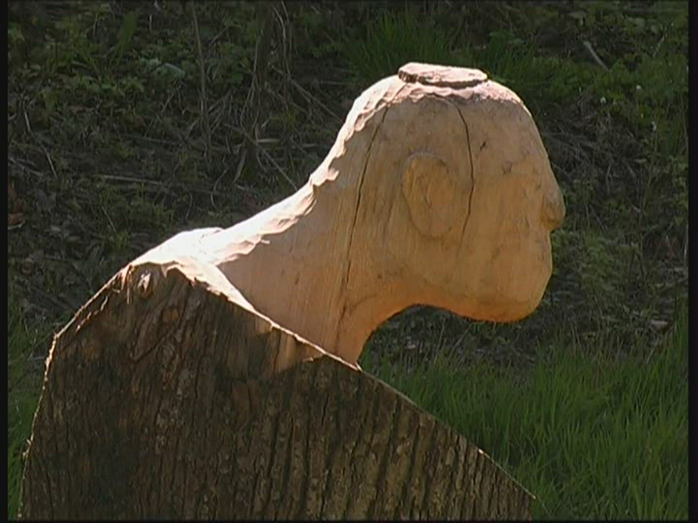154192349 / Wood / Carving / Spessart / Germany