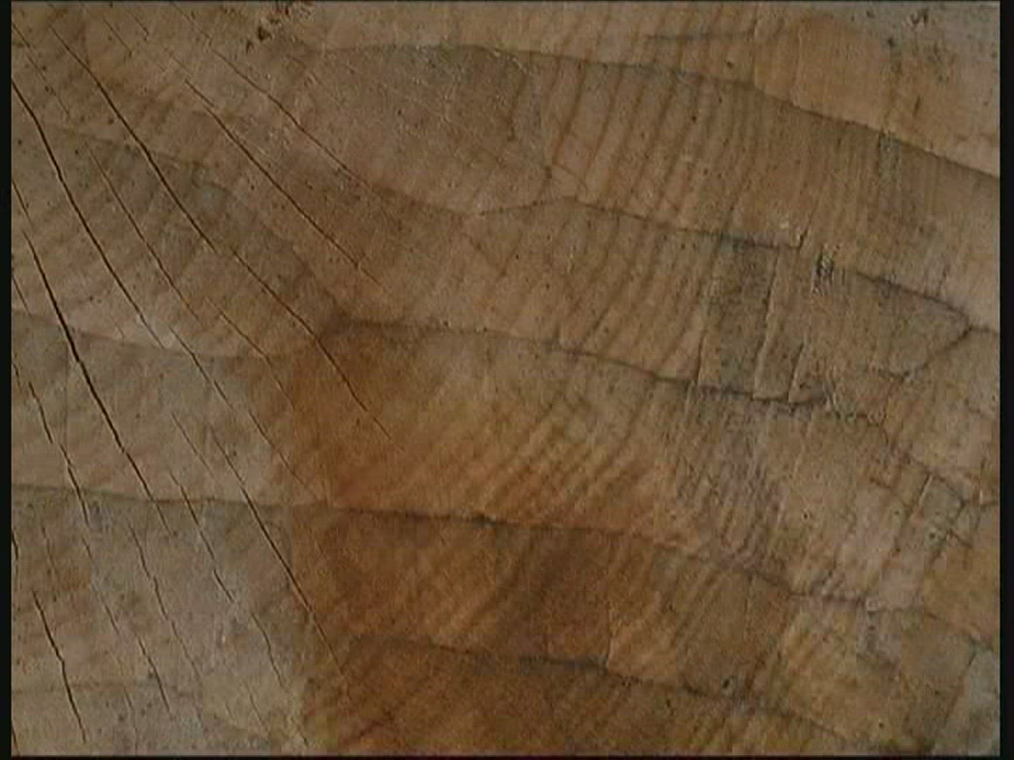 159522732 / Wood / Carving / Spessart / Germany