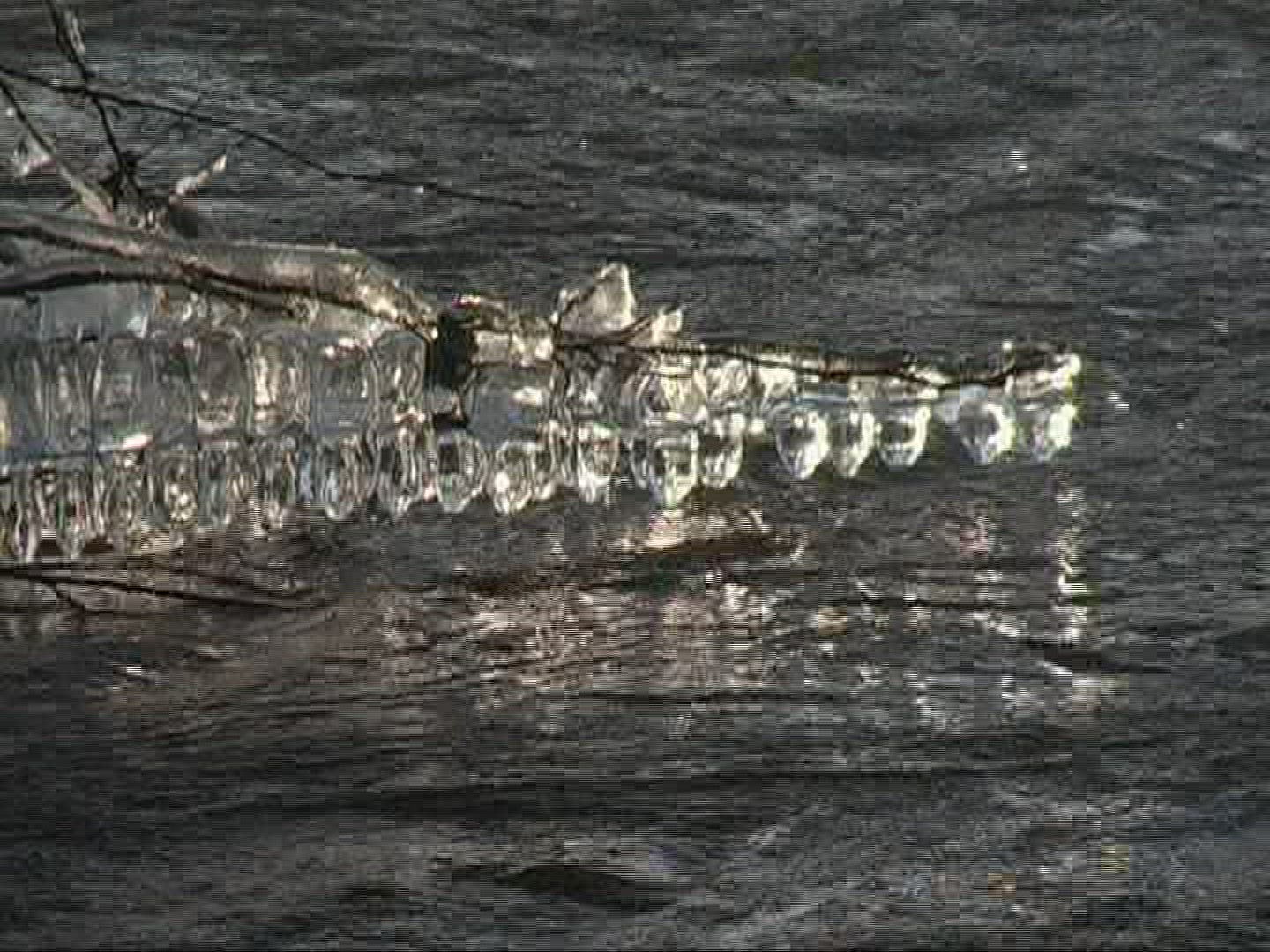667976898 / Ice Formation / Stream / Germany