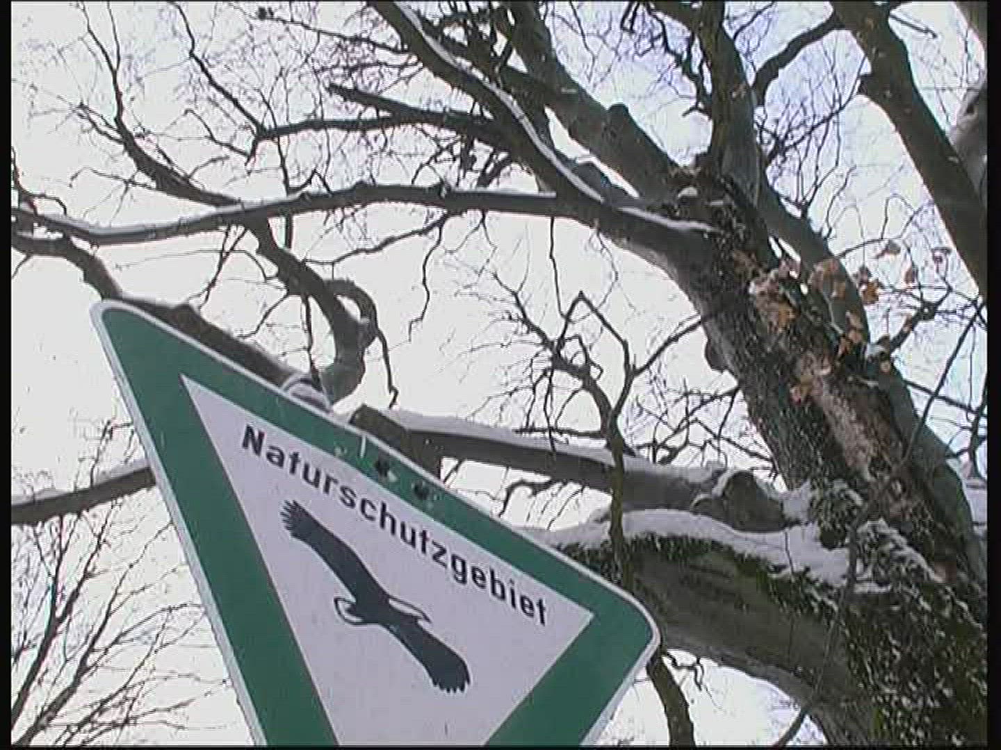900662649 / Sign / Figure / Forest / Germany