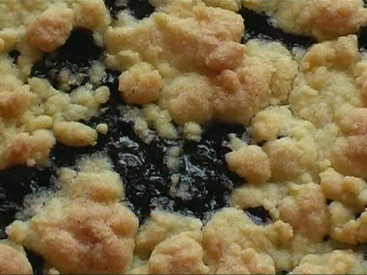 546275094 / Blueberry Cake / Germany