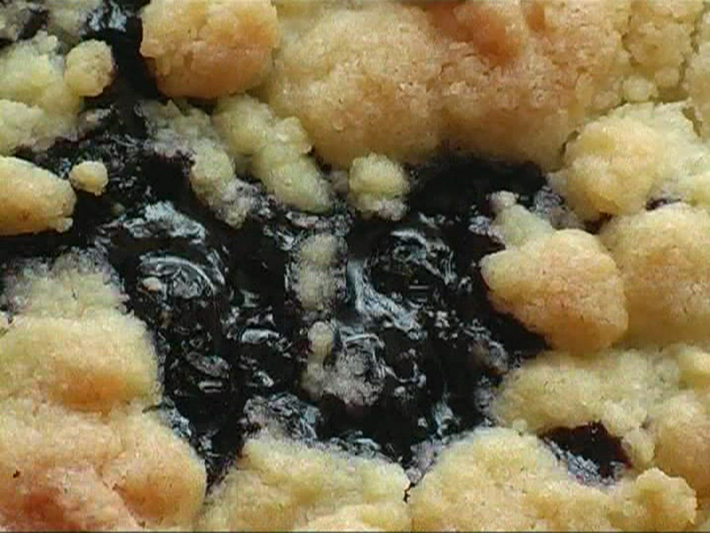 922311530 / Blueberry Cake / Germany