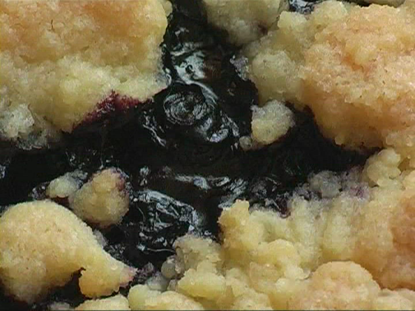 723728887 / Blueberry Cake / Germany