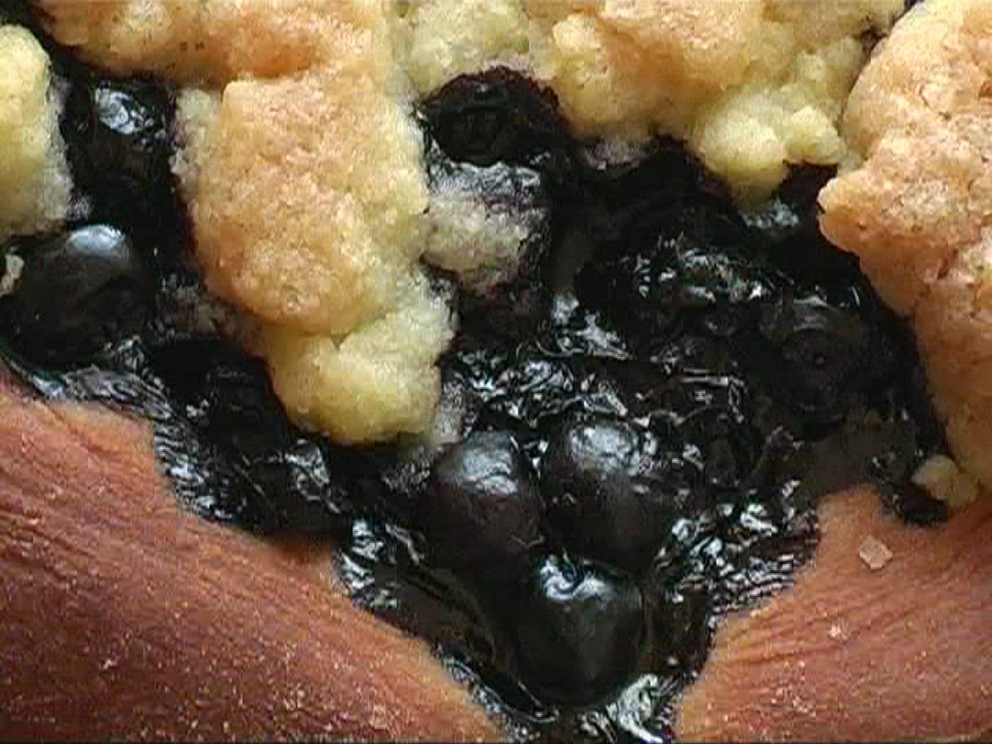 507964631 / Blueberry Cake / Germany