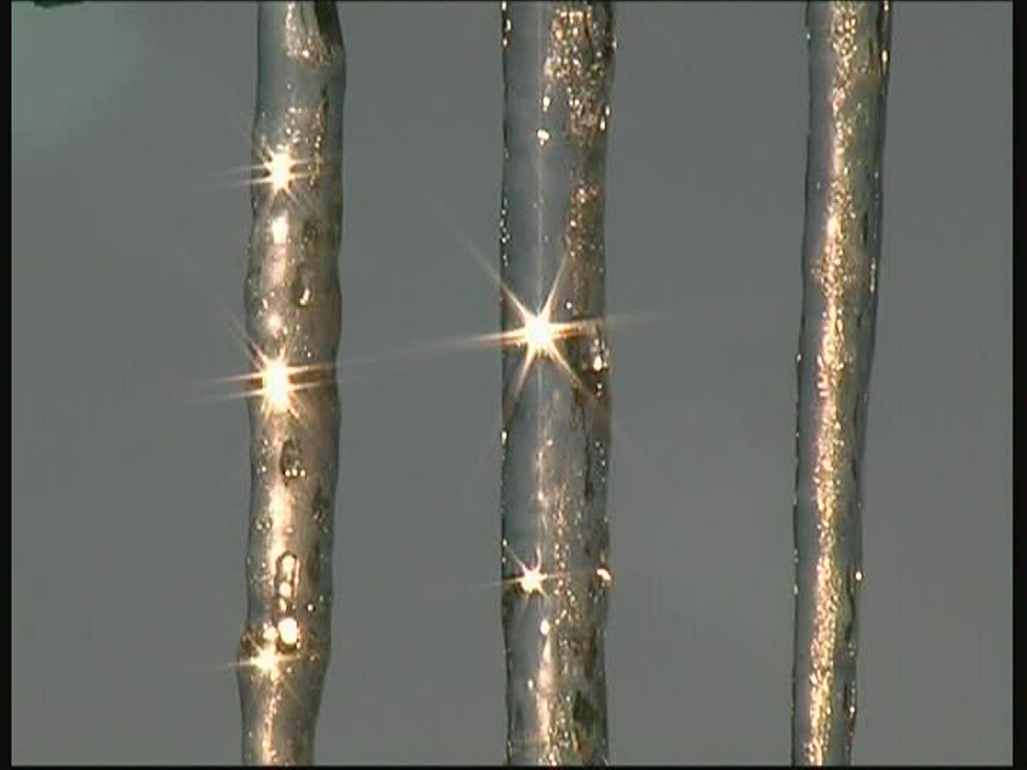 921002004 / Icicle / Twinkling / Germany