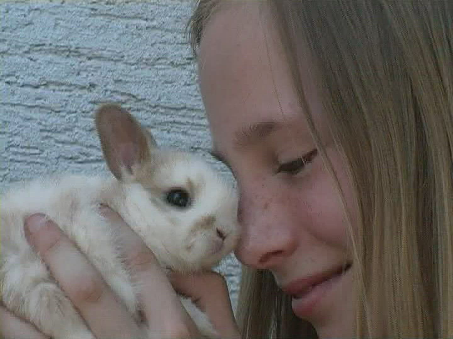 934749739 / Pygmy Rabbit / Girl / Germany