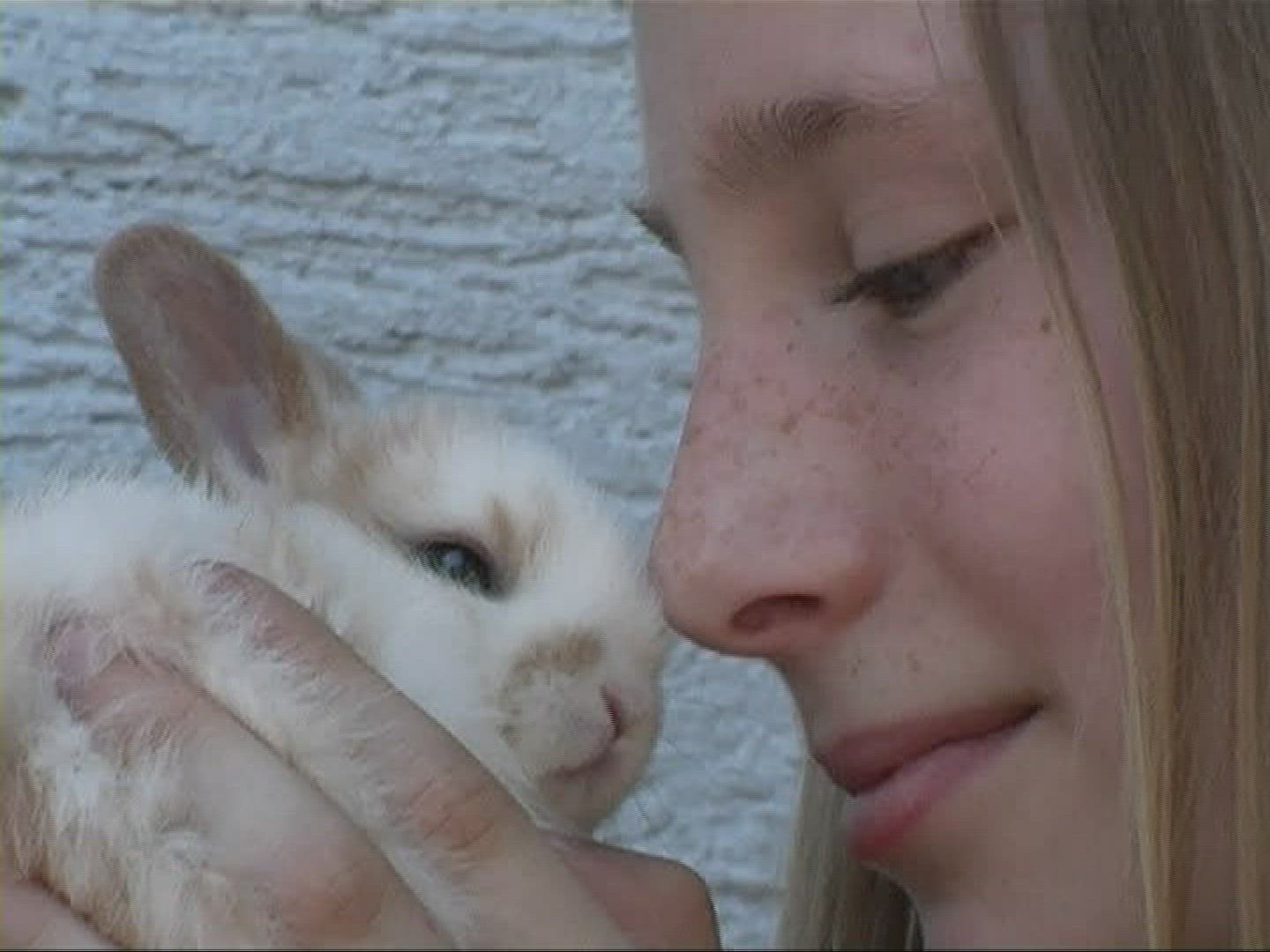 724342106 / Pygmy Rabbit / Girl / Germany