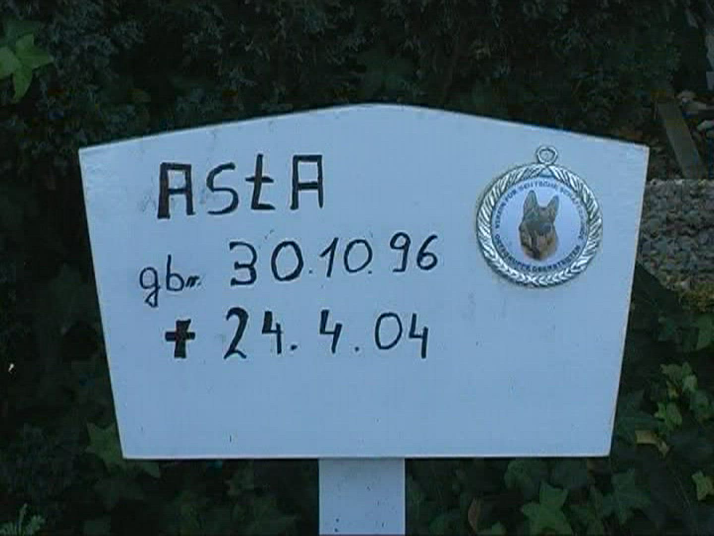 588644908 / Animal Cemetery / Tomb / Germany