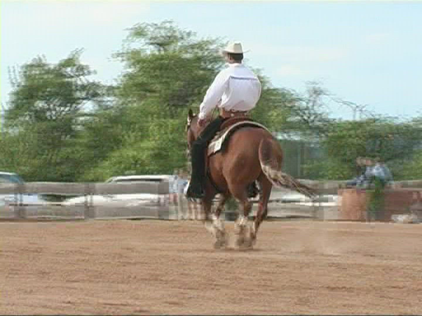 485889166 / Western Riding / Großwallstadt / Germany