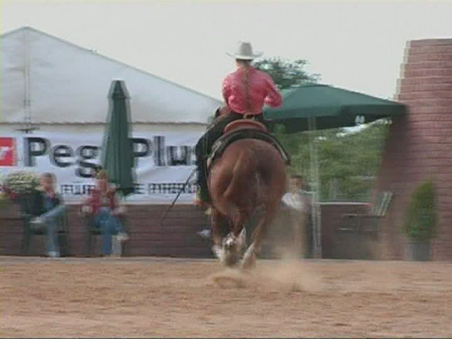 264737456 / Western Riding / Großwallstadt / Germany