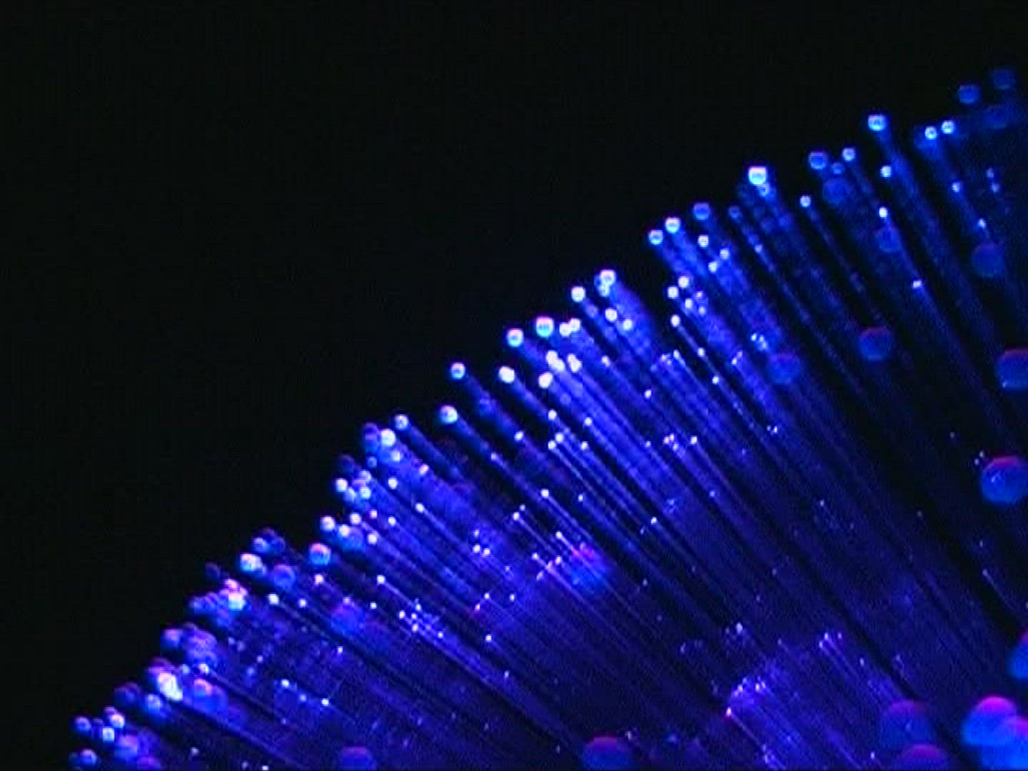 421291213 / Glass Fiber / Light Conductor / Blue