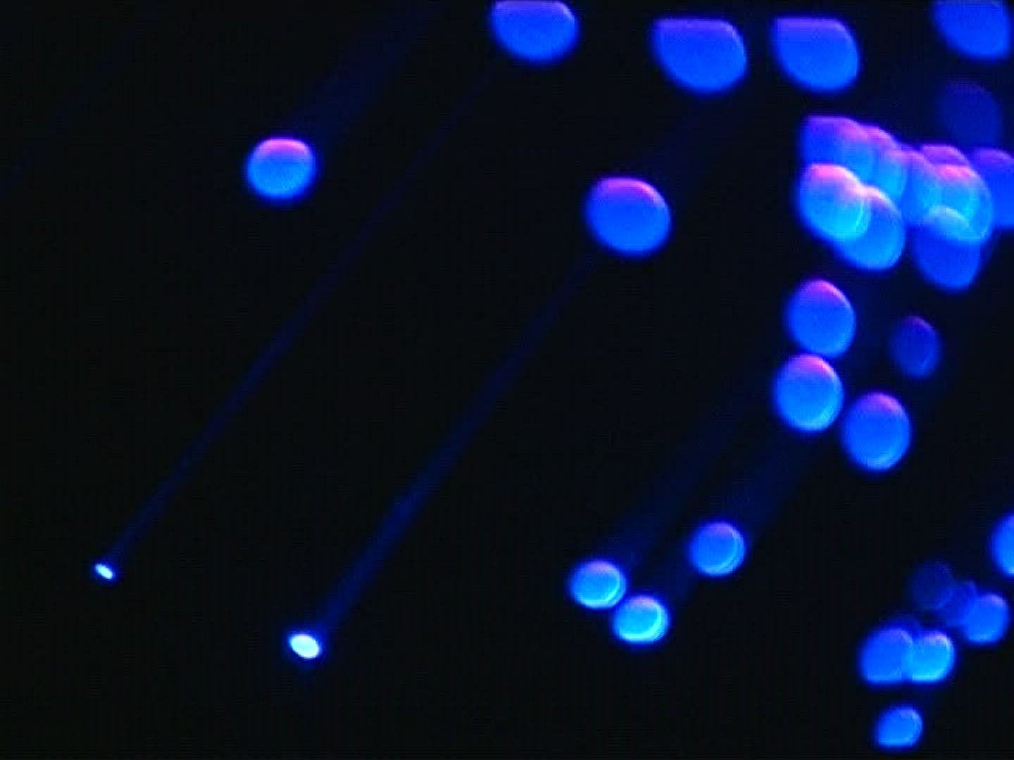 781253676 / Glass Fiber / Light Conductor / Blue