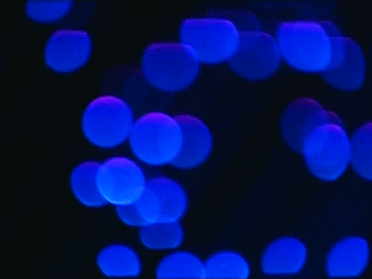 919770492 / Glass Fiber / Light Conductor / Blue