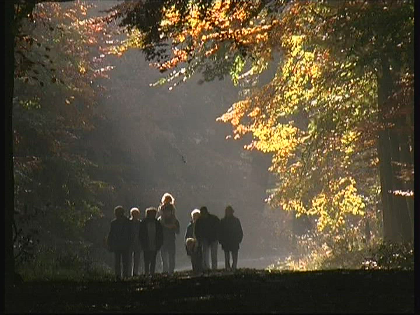 998797917 / Promenade / Deciduous Forest / Autumn / Germany