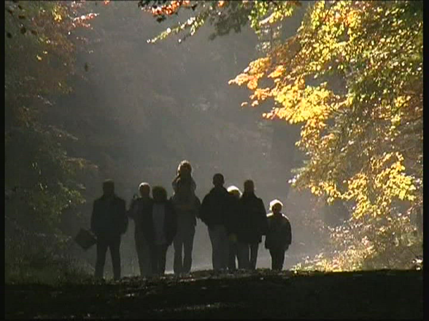 333444737 / Promenade / Deciduous Forest / Autumn / Germany