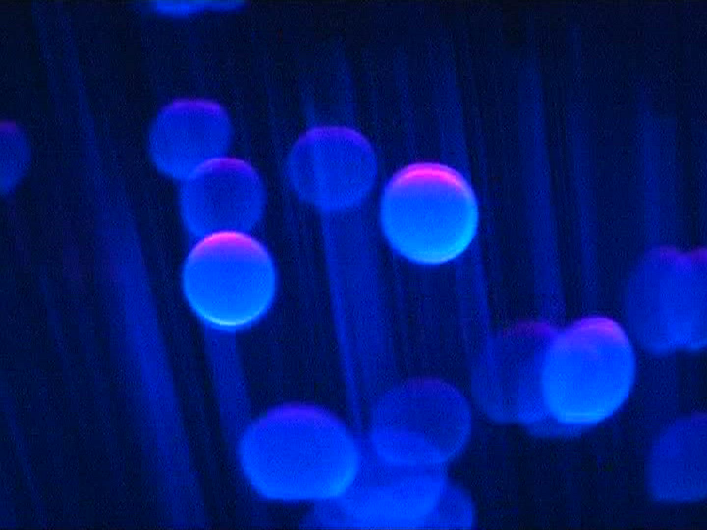 421301199 / Glass Fiber / Light Conductor / Blue