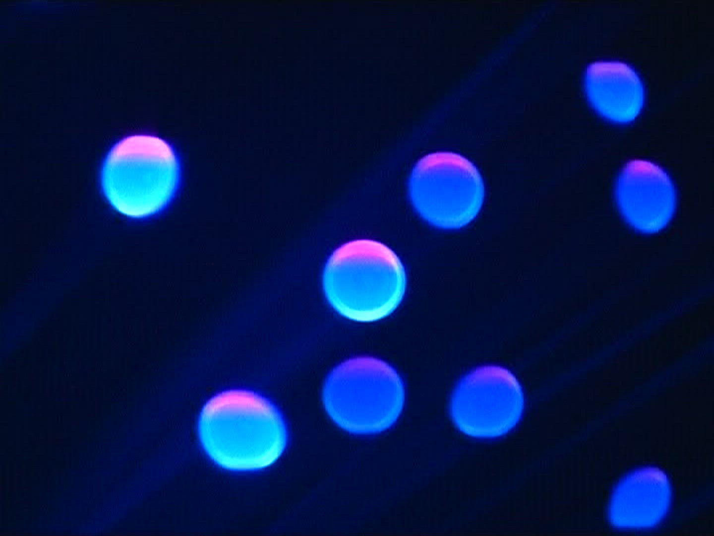 258013978 / Glass Fiber / Light Conductor / Blue