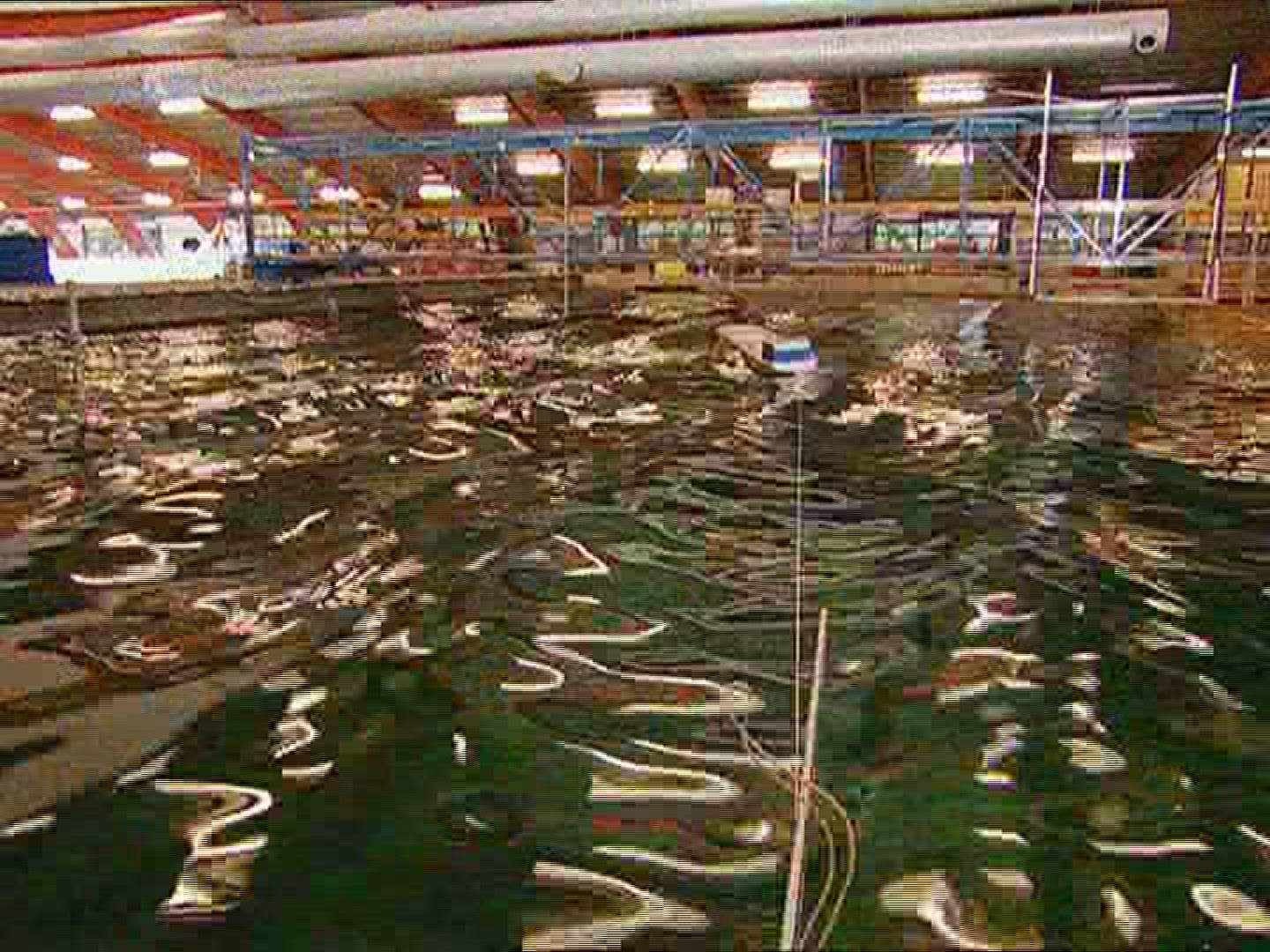 658019965 / Experiment / Deutsches Hydrografisches Institut / Flensburg / Germany