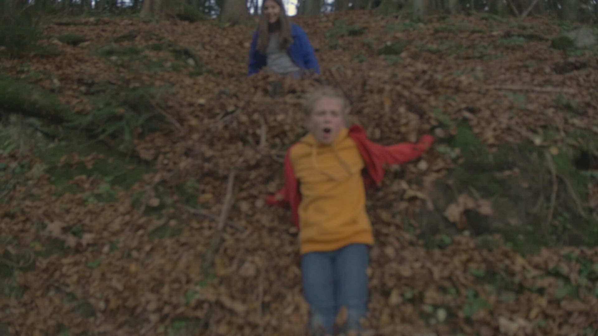 438966351 / Girl / Sliding / Forest