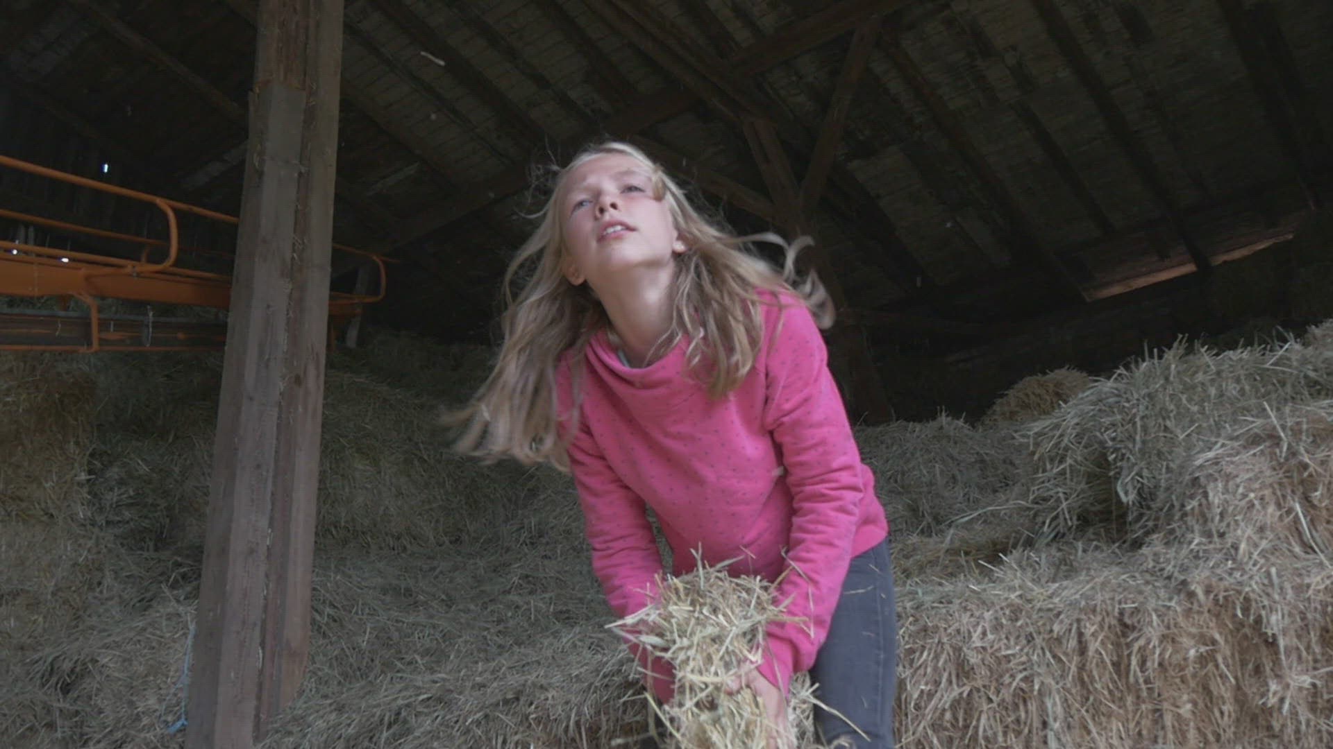 163349703 / Girl / Playing / Hayloft