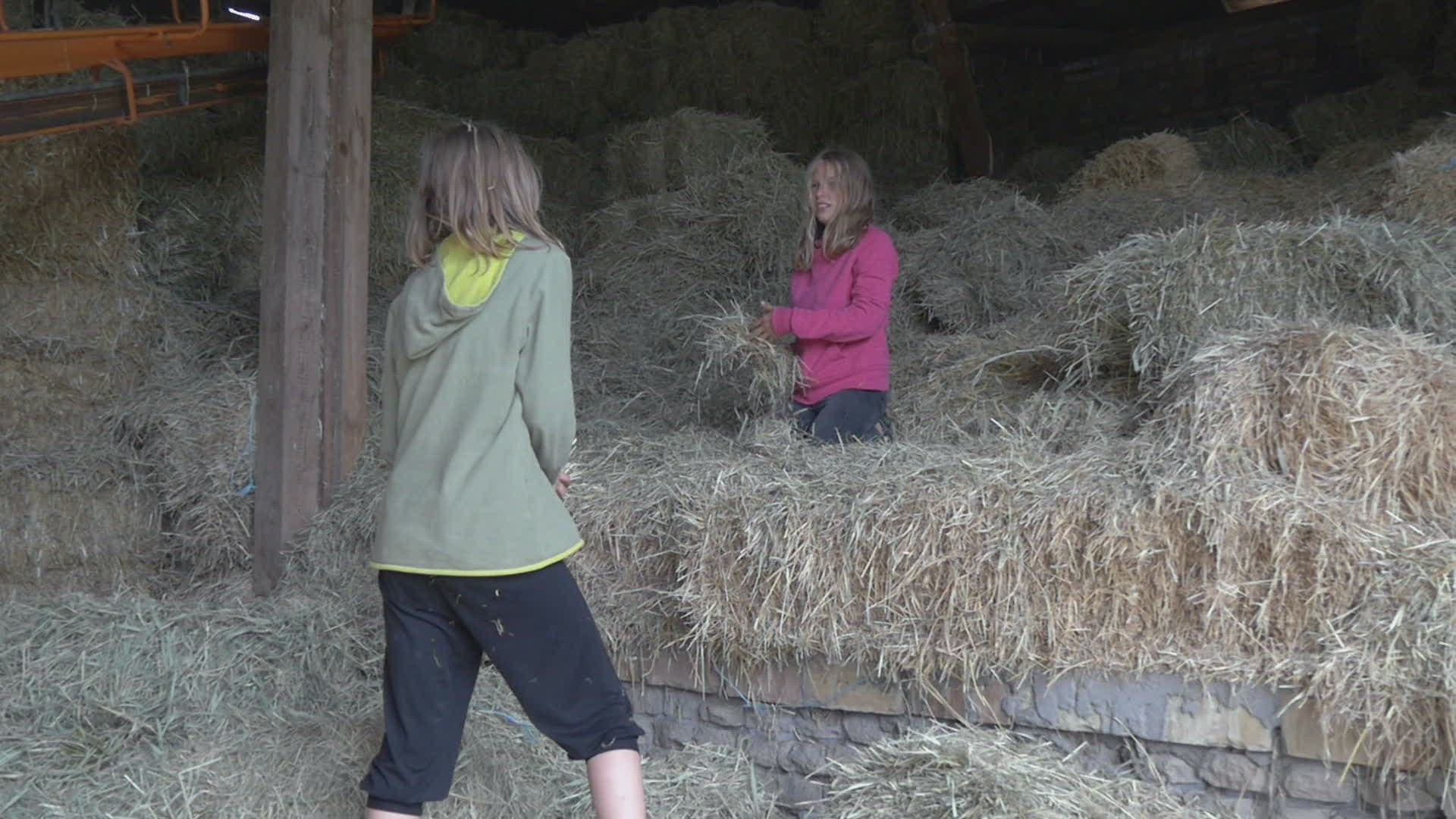114524579 / Girl / Playing / Hayloft