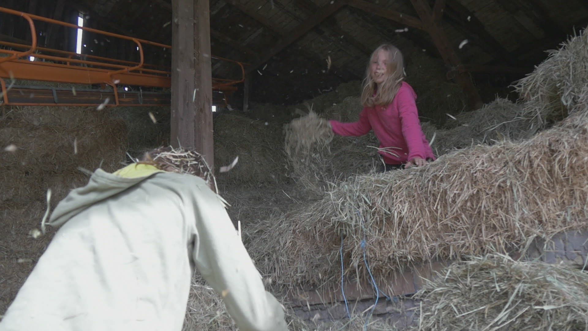 649485421 / Girl / Playing / Hayloft