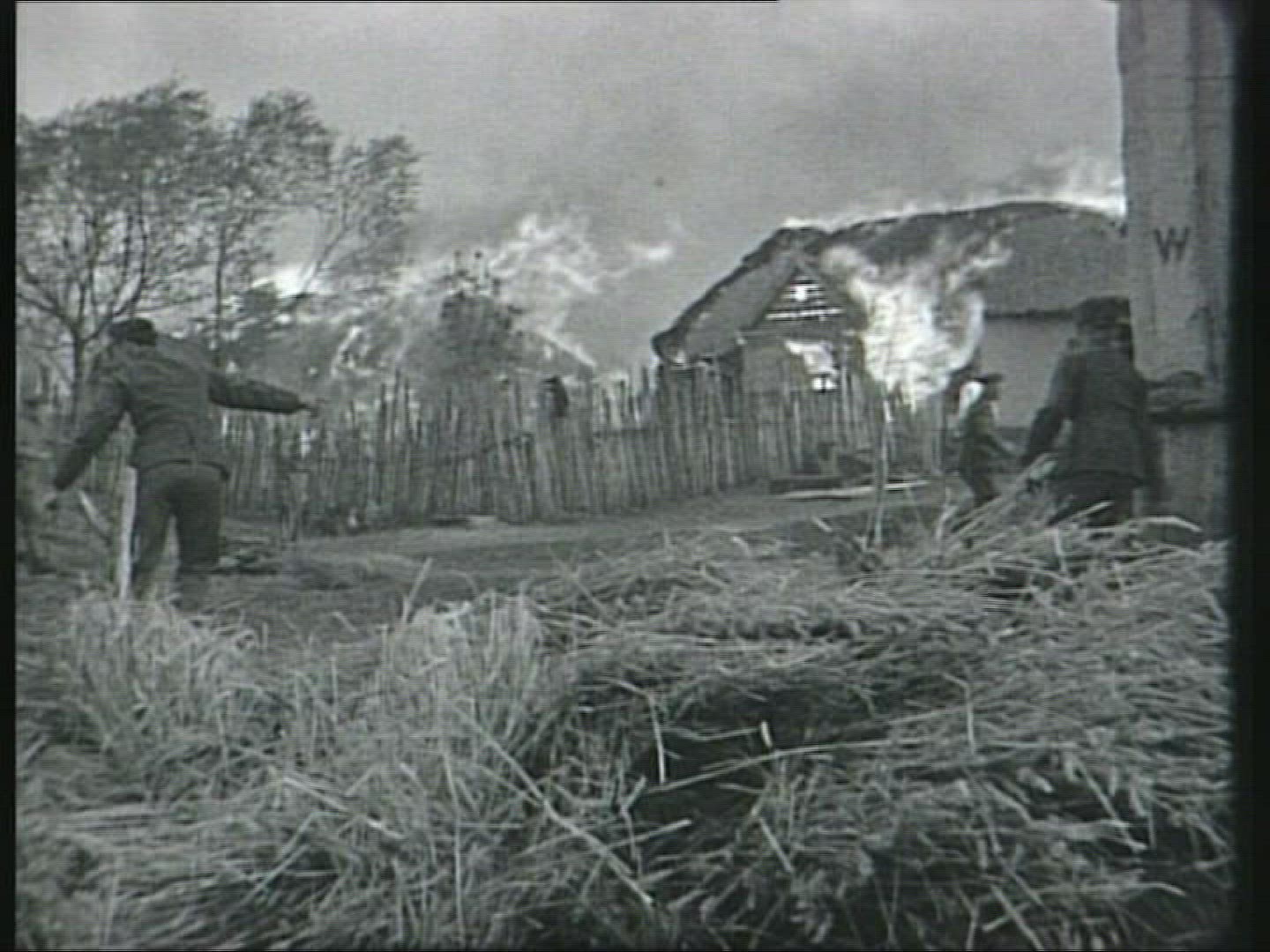 353601397 / Wehrmacht / USSR / Second World War / 1943