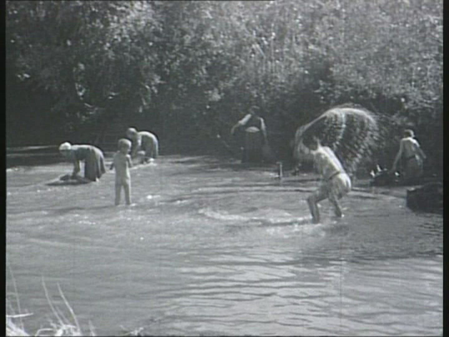 210067249 / Transylvania / Romania / 1944