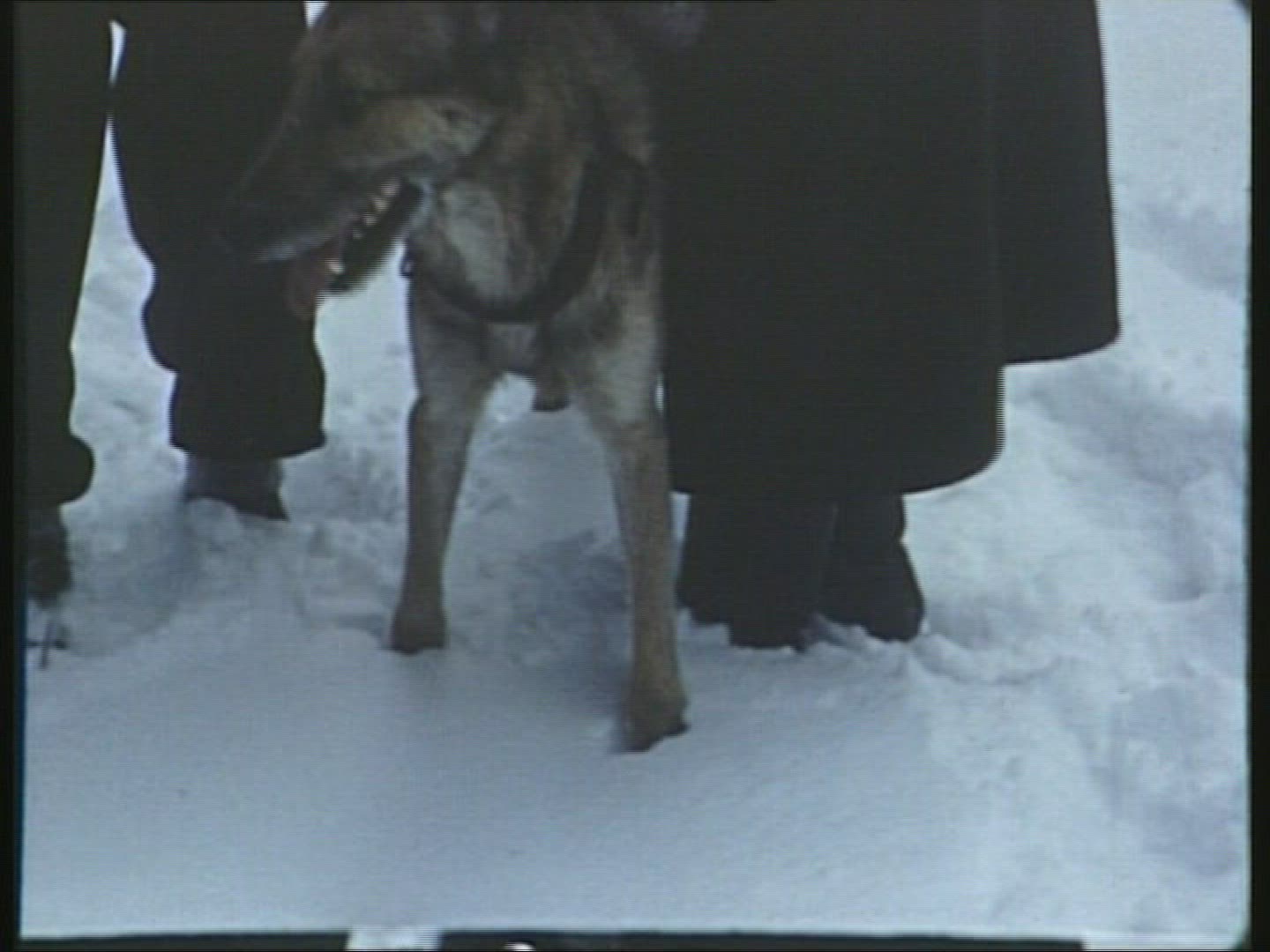 893249932 / Bardo / Poland / Winter / 1940