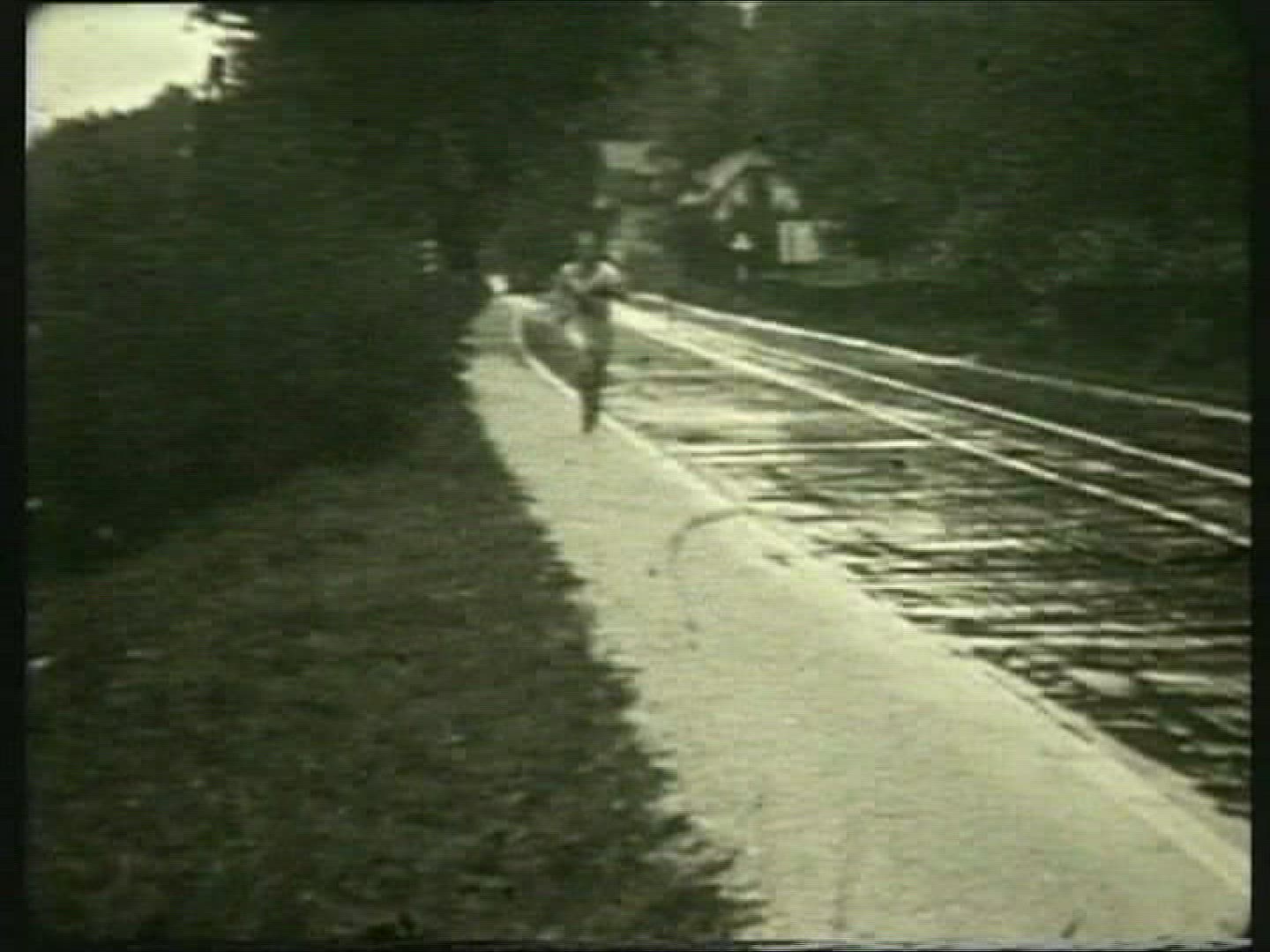 849868136 / Marathon / Olympic Games / Germany / 1936