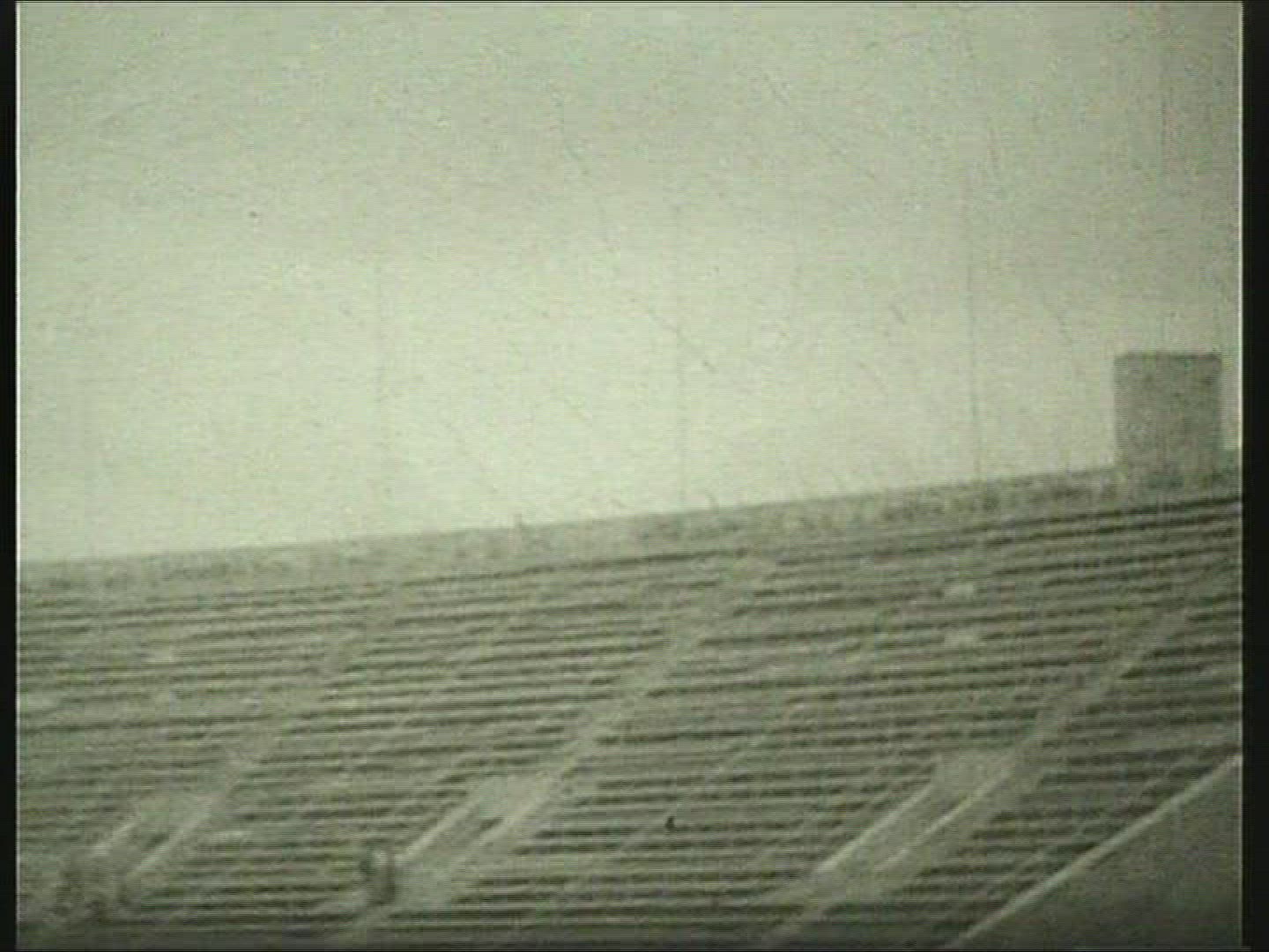 367929658 / Olympic Games / Berlin / Germany / 1936