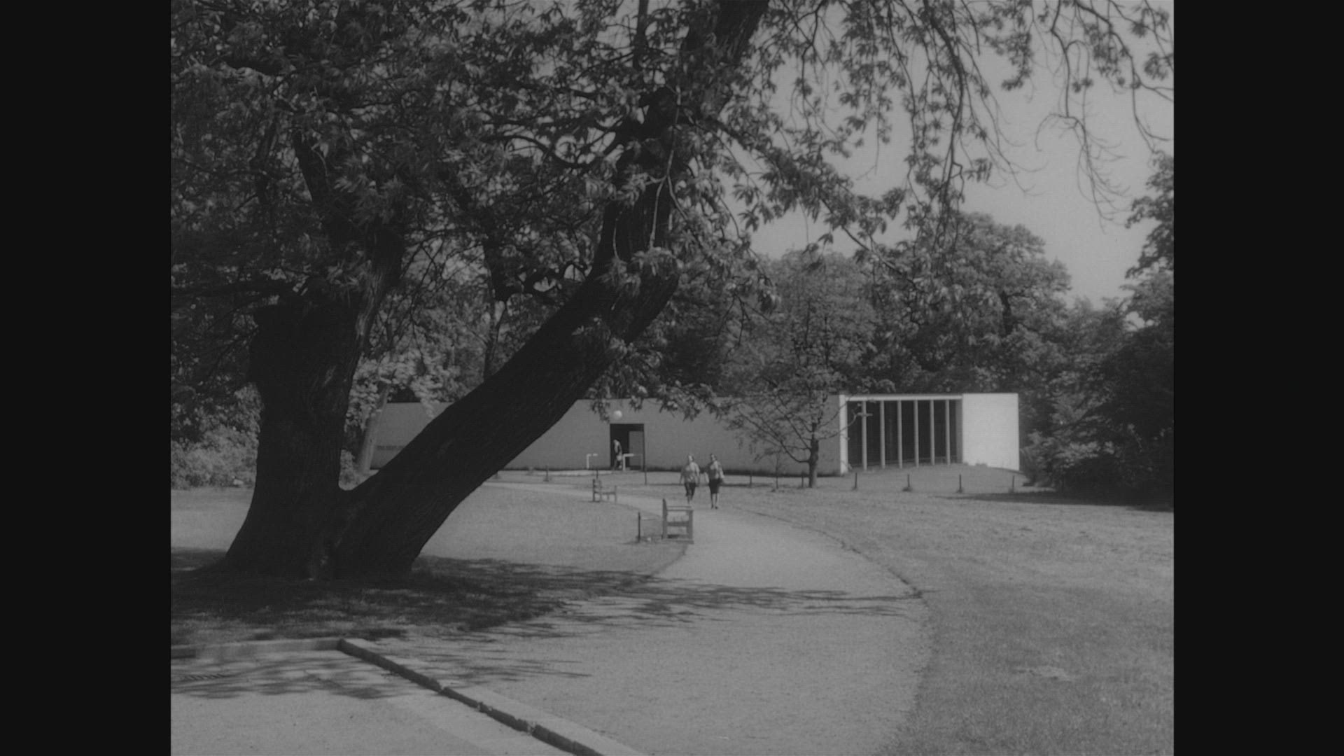 311596728 / Altona / Hamburg / Germany / 1959
