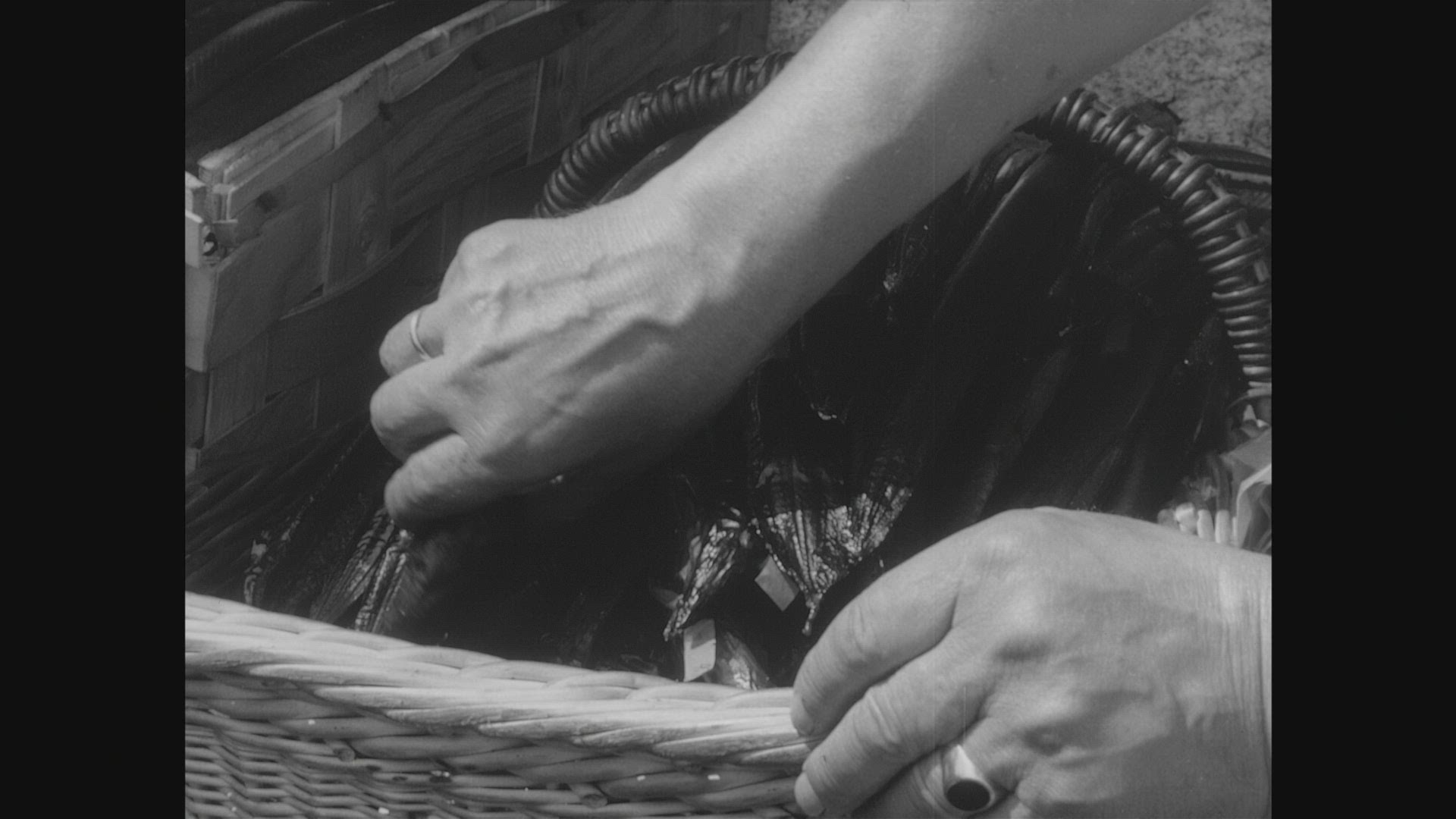 568036250 / Blankenese / Altona / Hamburg / Germany / 1959