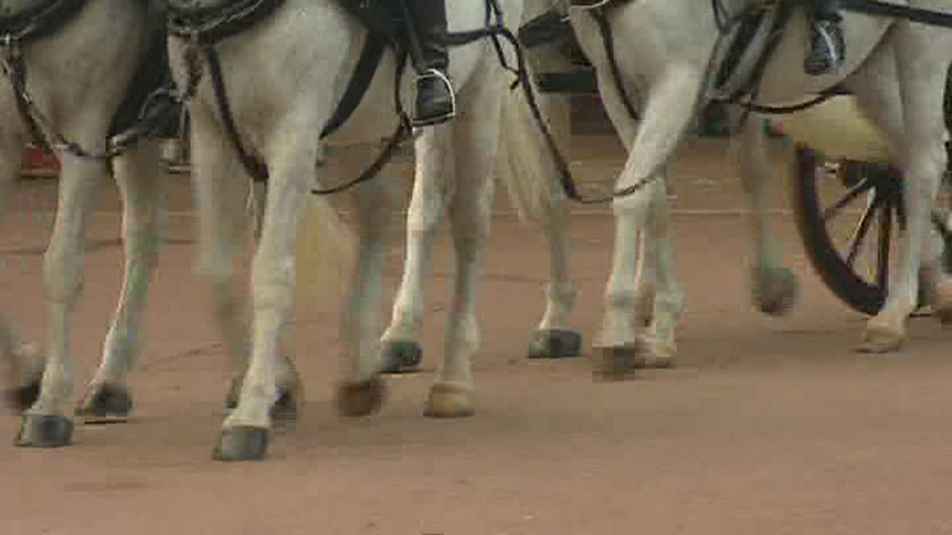 617641939 / Royal Mews / Coach / Horse / London / England