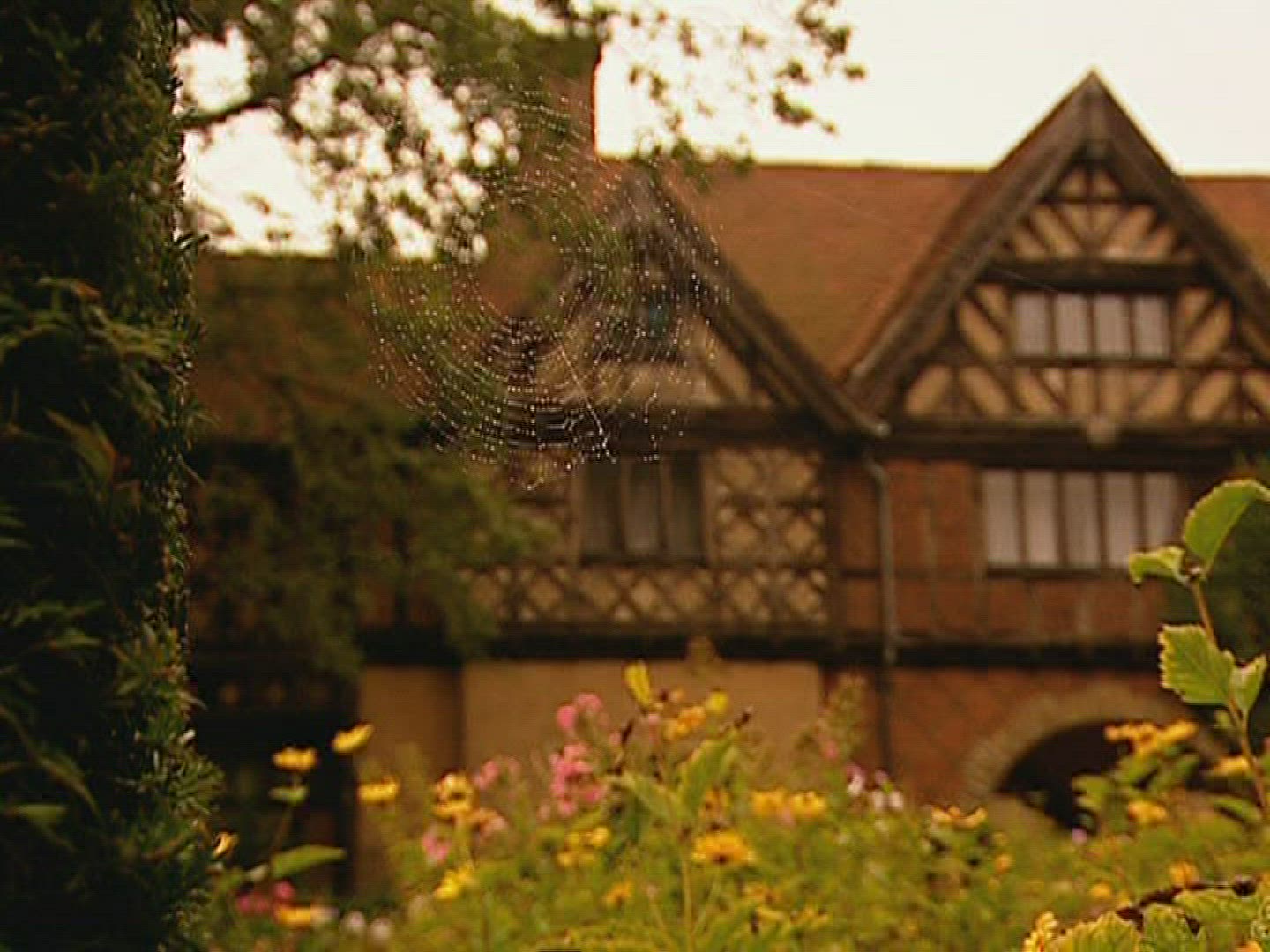 896504701 / Castle / Cecilienhof Castle / Germany