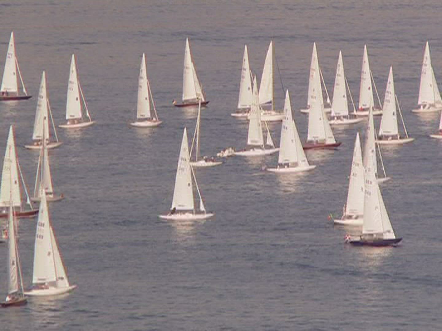 362460990 / Regatta / Saint-Tropez / France