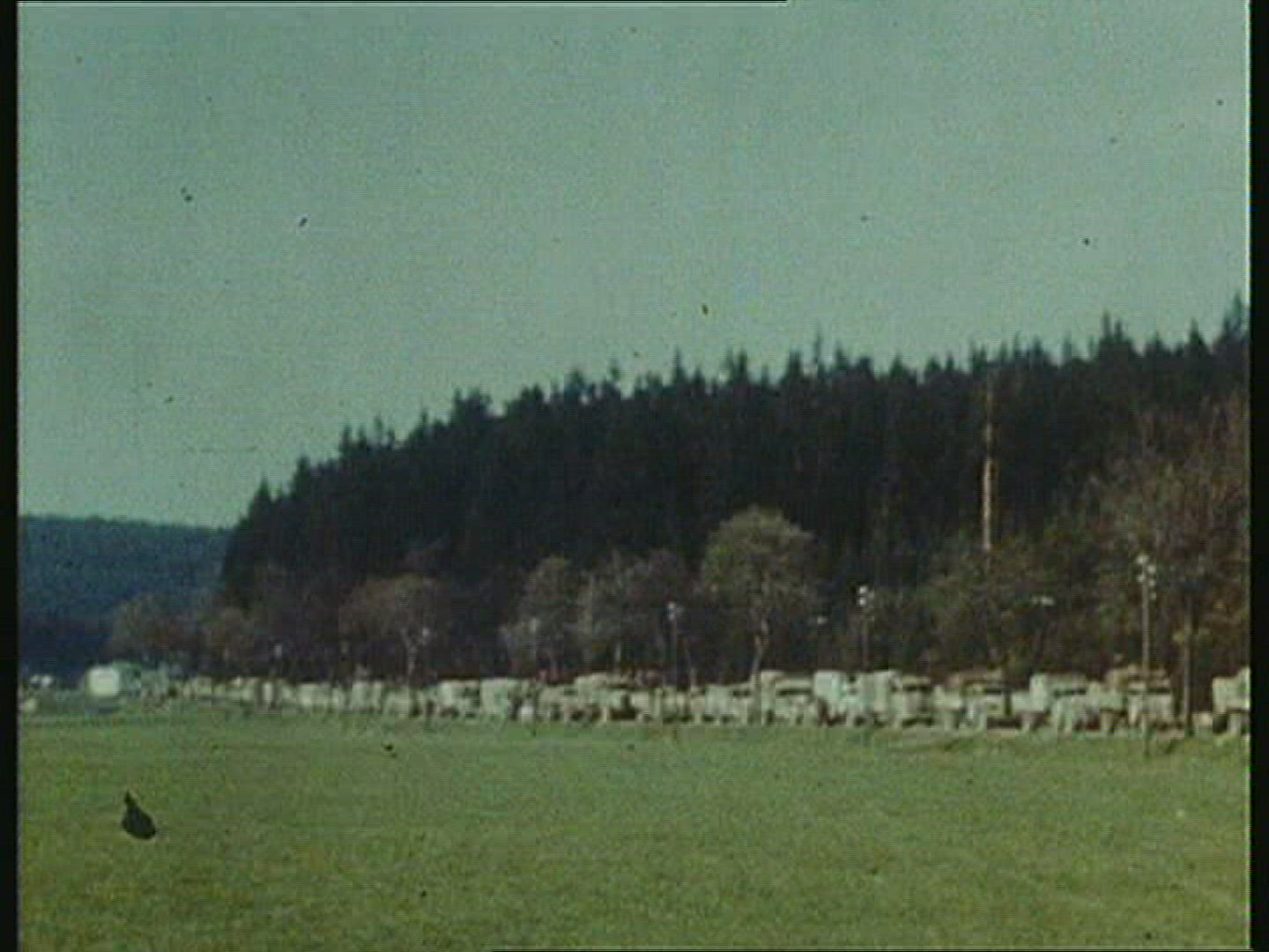 116585045 / Military Convoy / Germany / 1945