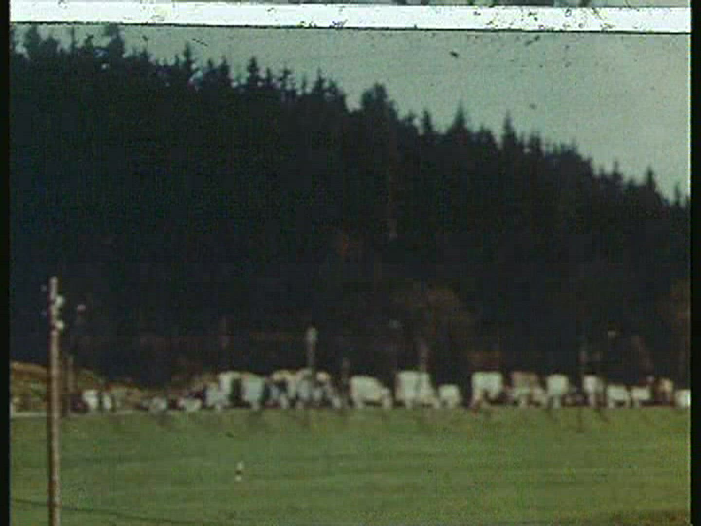 903919158 / Military Convoy / Germany / 1945