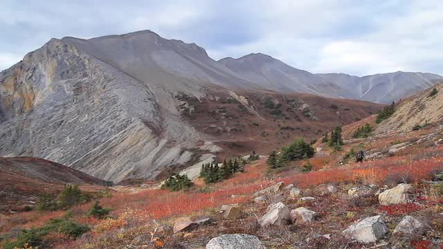 Hikers in the Mountain pass