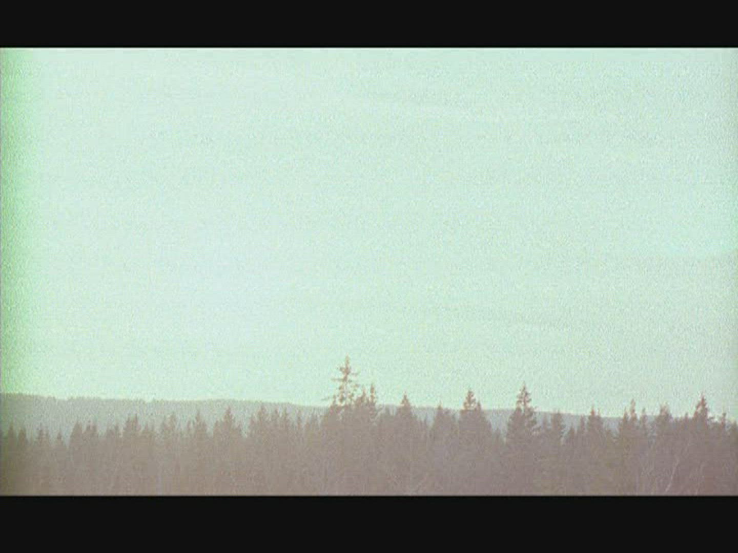 392311001 / Coniferous Forest / Landscape / Sweden